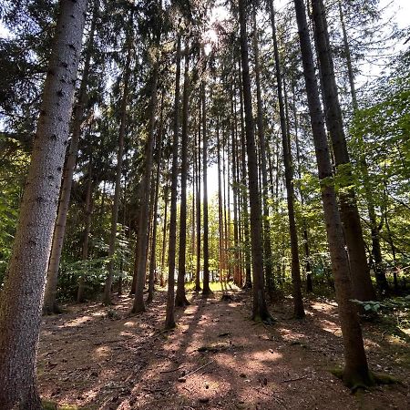 Apartman Na Kraji Lesa Všemina Extérieur photo