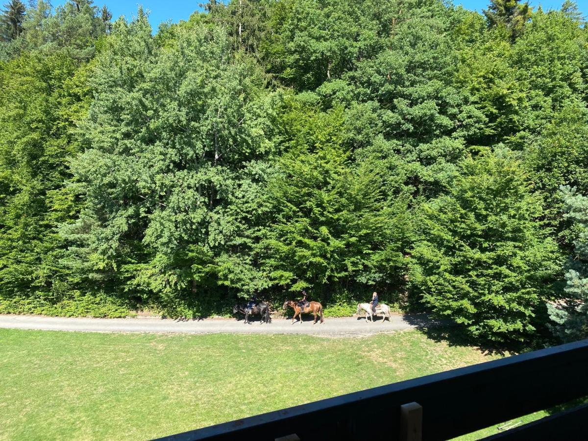 Apartman Na Kraji Lesa Všemina Extérieur photo