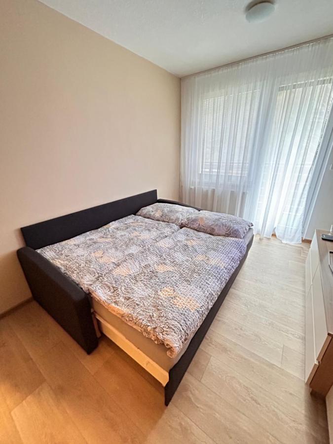 Apartman Na Kraji Lesa Všemina Extérieur photo
