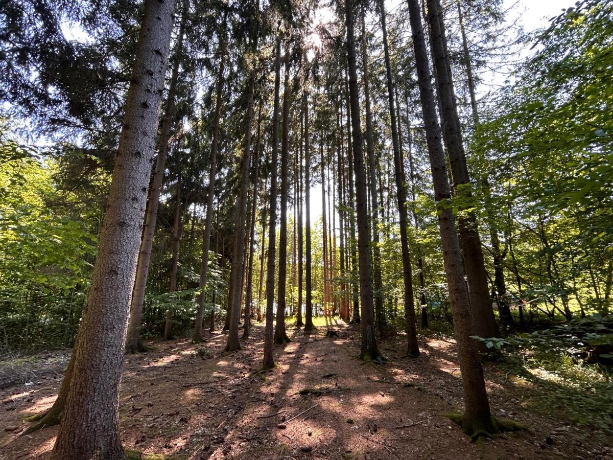 Apartman Na Kraji Lesa Všemina Extérieur photo